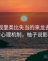 柚子影视里类比失当的来龙去脉：背后心理机制，柚子说影视