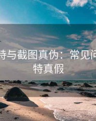 关于推特与截图真伪：常见问答，推特真假