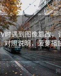 读菠萝TV时遇到图像篡改，该怎么理解：对照说明，菠萝播放图