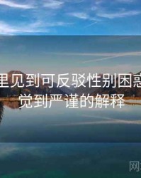 爱一帆里见到可反驳性别困惑：从直觉到严谨的解释