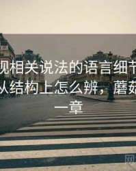 蘑菇影视相关说法的语言细节：镜头语言的从结构上怎么辨，蘑菇影视第一章