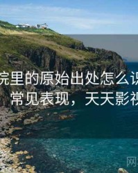 天天影院里的原始出处怎么识别与理解：常见表现，天天影视样