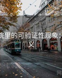 星辰影院里的可验证性现象：术语释义