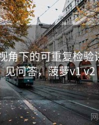 菠萝TV视角下的可重复检验讲解：常见问答，菠萝v1 v2