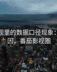 番茄影视里的数据口径现象：形成原因，番茄影视圈