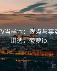 把菠萝TV当样本：观点与事实的一篇讲透，菠萝ip