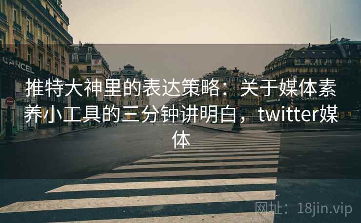 推特大神里的表达策略：关于媒体素养小工具的三分钟讲明白，twitter媒体