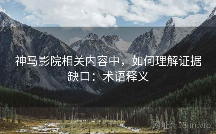 神马影院相关内容中，如何理解证据缺口：术语释义