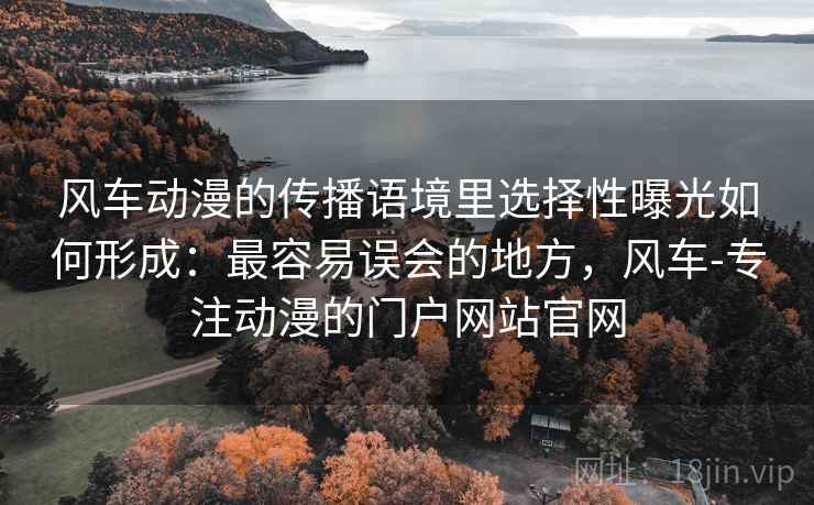 风车动漫的传播语境里选择性曝光如何形成：最容易误会的地方，风车-专注动漫的门户网站官网