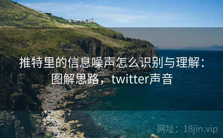 推特里的信息噪声怎么识别与理解：图解思路，twitter声音